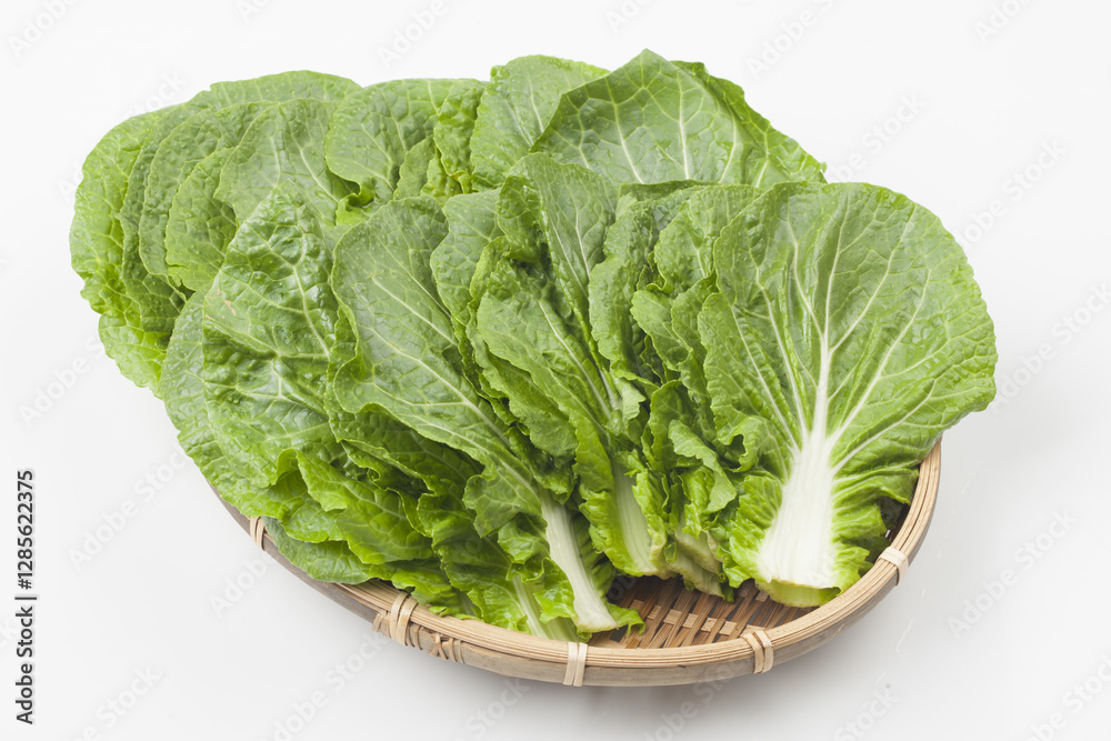 Ssamchu is a variety created by crossing Chinese cabbage and cabbage. Ssamchu is a variety created by crossing Chinese cabbage and cabbage.