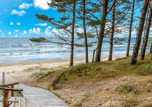 Sandy beach of the Jurmala - famous tourist resort town and pine forest on th...