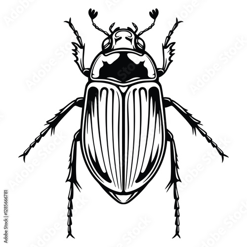 Cute Diving beetle line art silhouette vector graphic, white background.
