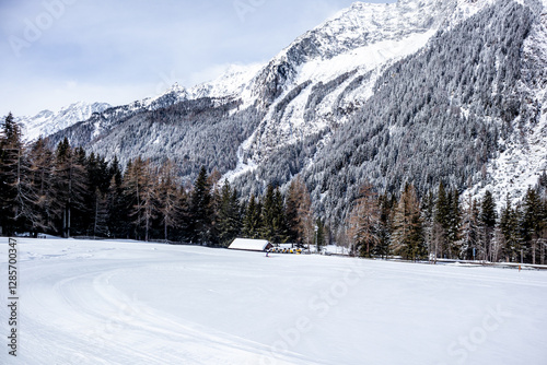 Obraz na płótnie Eine Runde Langlaufen in der Südtirol-Arena von Antholz im wunderschönen Antholzer Tal - Südtirol - Italien w salonie