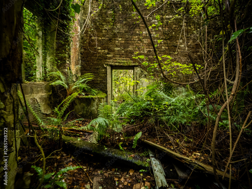 Reclaimed from nature - abandoned mansion ruins in Wales completely collapsed and overgrown Reclaimed from nature - abandoned mansion ruins in Wales completely collapsed and overgrown