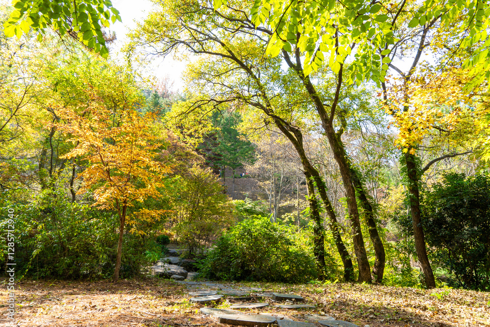 Naklejka premium Autumn park with colorful trees with and falling leaves in the park