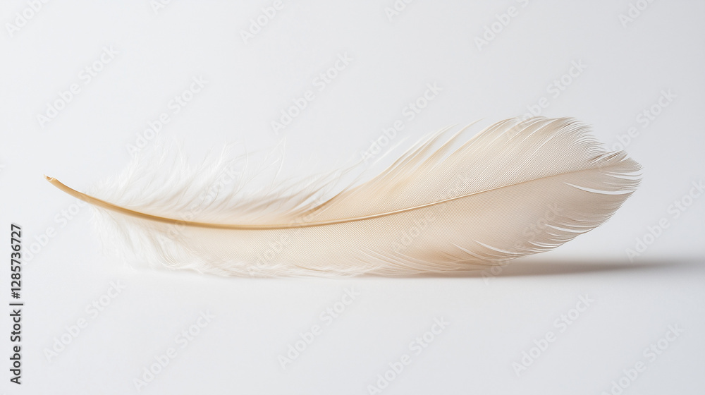 Obraz premium Delicate beige feather with soft texture on a white background
