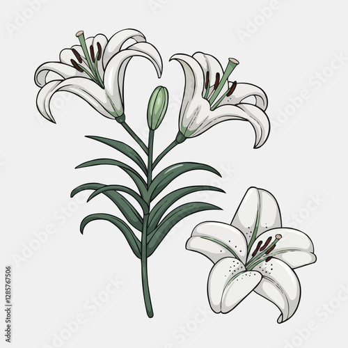 Elegant Lily Trio: A delicate illustration of three graceful white lilies, their petals pristine, contrasted by lush green leaves, exuding a sense of purity and elegance.