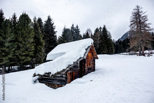 Obraz na płótnie Eine Runde Langlaufen in der Südtirol-Arena von Antholz im wunderschönen Antholzer Tal - Südtirol - Italien w salonie