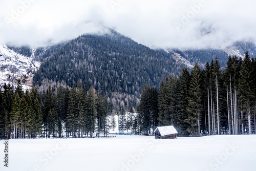 Obraz na płótnie Eine Runde Langlaufen in der Südtirol-Arena von Antholz im wunderschönen Antholzer Tal - Südtirol - Italien w salonie
