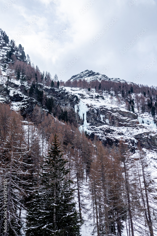 Eine Runde Langlaufen am Langlaufzentrum Rein in Taufers im wunderschönen Reintal - Südtirol - Italien