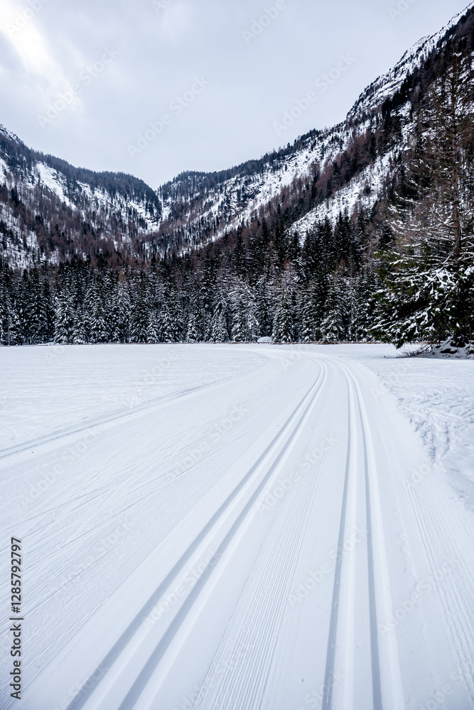 Eine Runde Langlaufen am Langlaufzentrum Rein in Taufers im wunderschönen Reintal - Südtirol - Italien