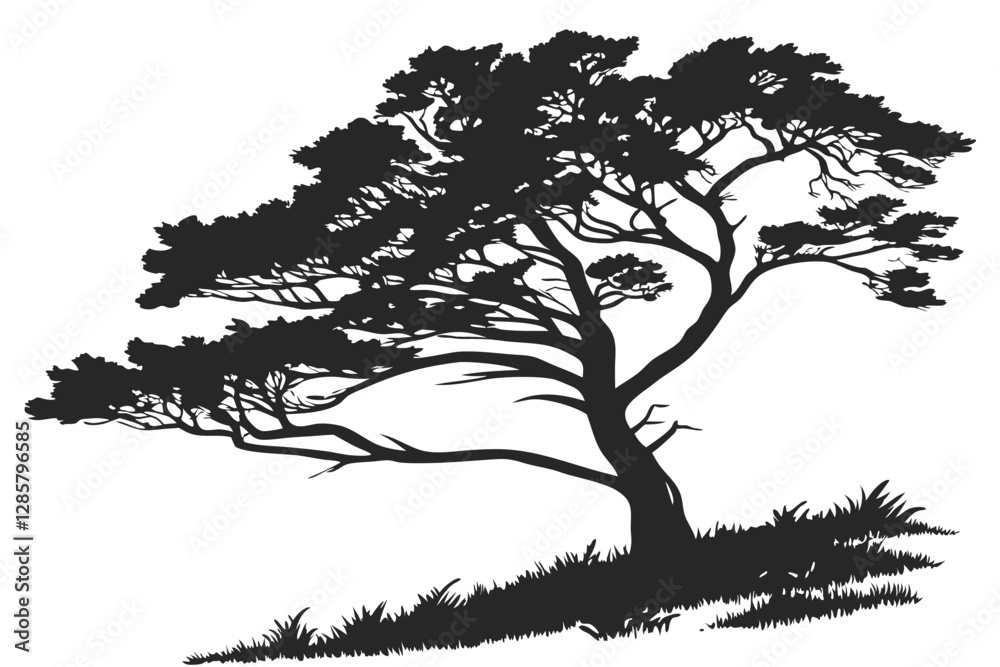 Fototapeta premium Cypress tree silhouette vector illustration