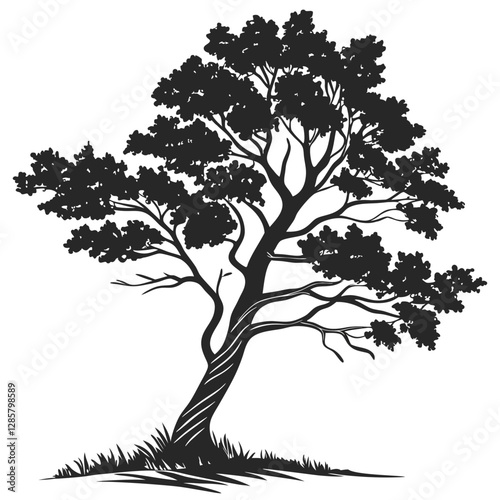 Poplar tree silhouette vector illustration