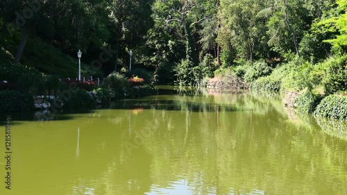 Green River Flowing Through a Vast Lush Park
