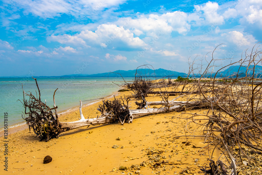 Pakarang Cape tropical beach sea shore with dead trees Thailand. Pakarang Cape tropical beach sea shore with dead trees Thailand.