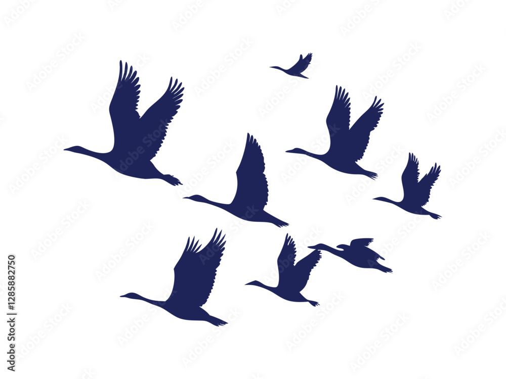 Fototapeta premium Collection of Flock of Flying Birds Silhouette. Collection of Flying Birds Silhouettes � Flock of Birds in Various Flight Poses