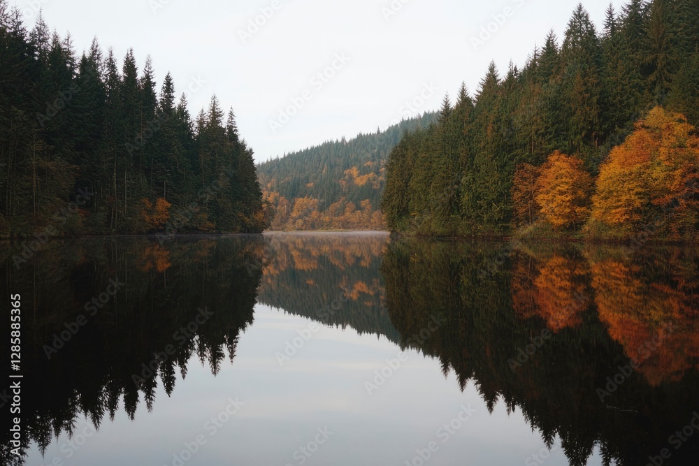 Calm autumn lake reflecting forest trees at sunrise Calm autumn lake reflecting forest trees at sunrise