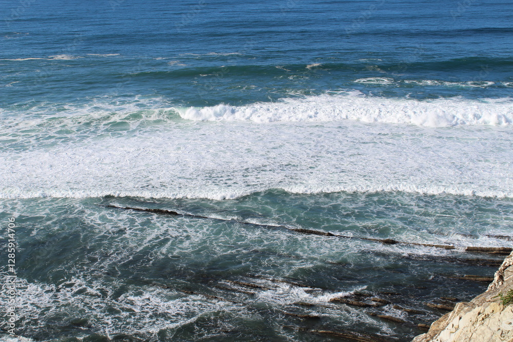 Fototapeta premium Paysage