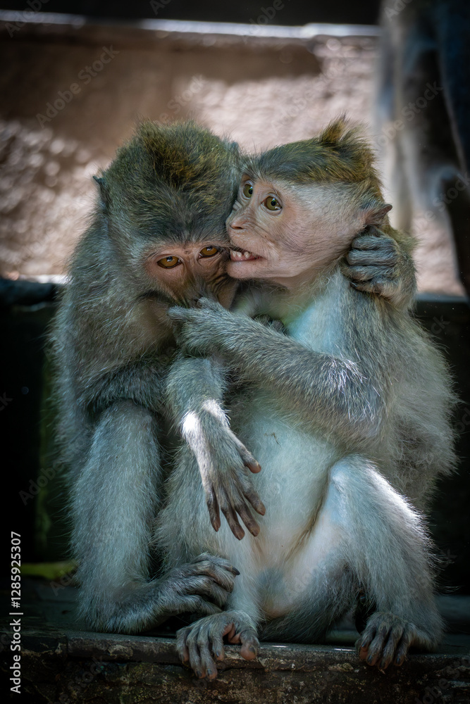 Fototapeta premium mother and baby