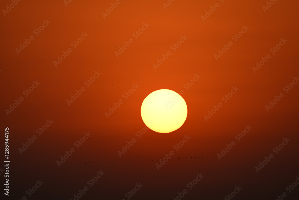 sunset in the sky sunset in the sky