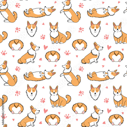 Corgi vector seamless pattern. Different kinds of corgi on white background