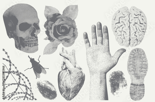 Elements with a retro barbed wire, rose, hand, fly, heart, brain, skull, boot print, fingerprint photocopy effect. Broken heart, barbed wire and other trendy Y2K elements. Vector dots texture.