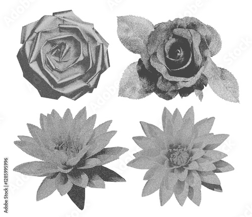 Set of roses and lilies with a retro photocopy effect. Set of flowers with leaves. Roses vintage illustration. Grey color stippling technique. Texture of dots. Grunge vector rose. Vector illustration.