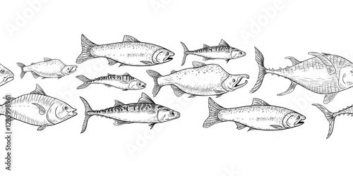 School of fish salmon, tuna black white vector seamless border on white. Shoal trout, mackerel engraving hand drawn. Flock nerka sea fish monochrome repeat texture. Group sea fish graphic line art.