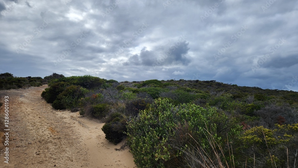 Cheynes Beach in Western Australia Cheynes Beach in Western Australia