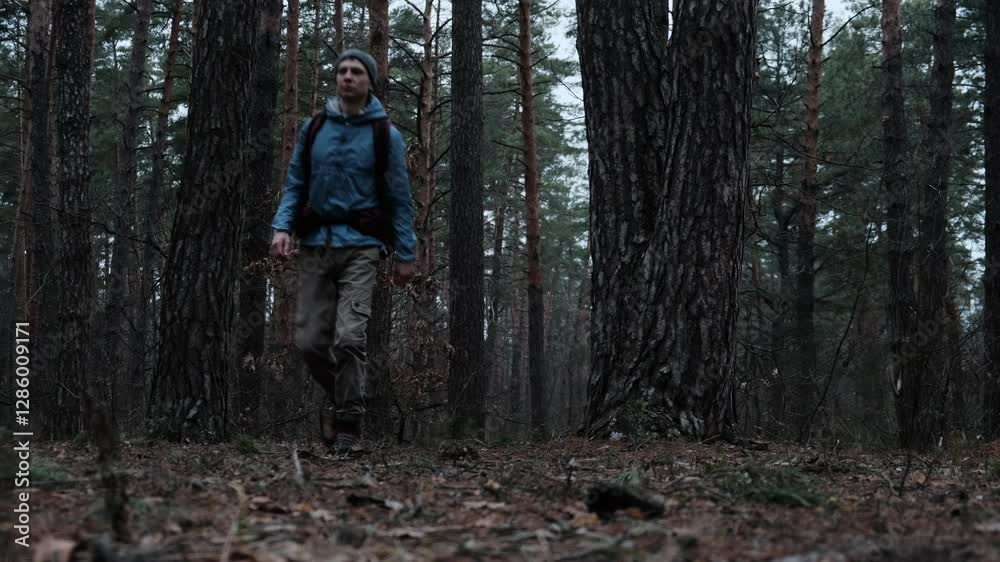 A hiker with a big backpack walks through a thick forest, surrounded by tall trees and fallen leaves. The cool, cloudy weather makes the place feel more wild as he goes further into nature. A hiker with a big backpack walks through a thick forest, surrounded by tall trees and fallen leaves. The cool, cloudy weather makes the place feel more wild as he goes further into nature.