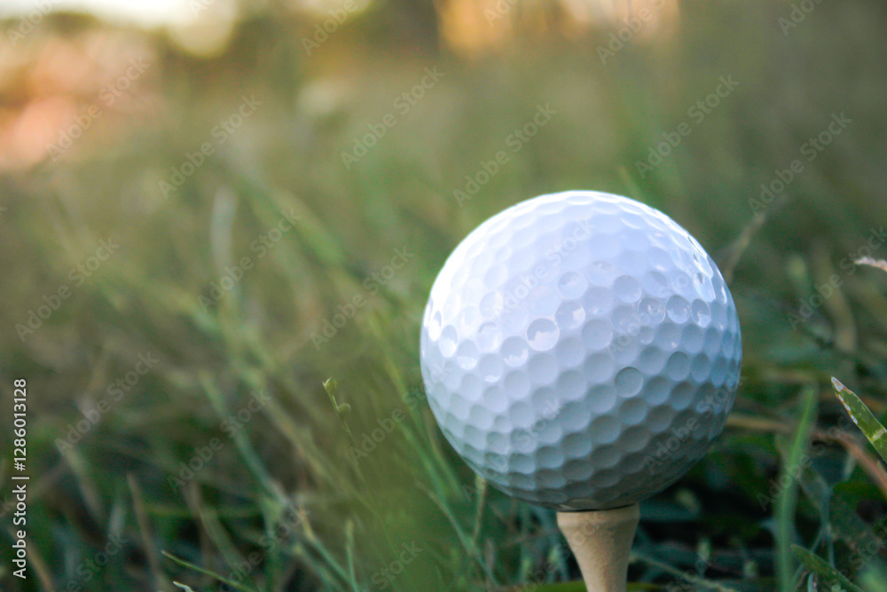 Close-Up of White Golf Ball on Tee in Lush Green Grass Outdoors Close-Up of White Golf Ball on Tee in Lush Green Grass Outdoors