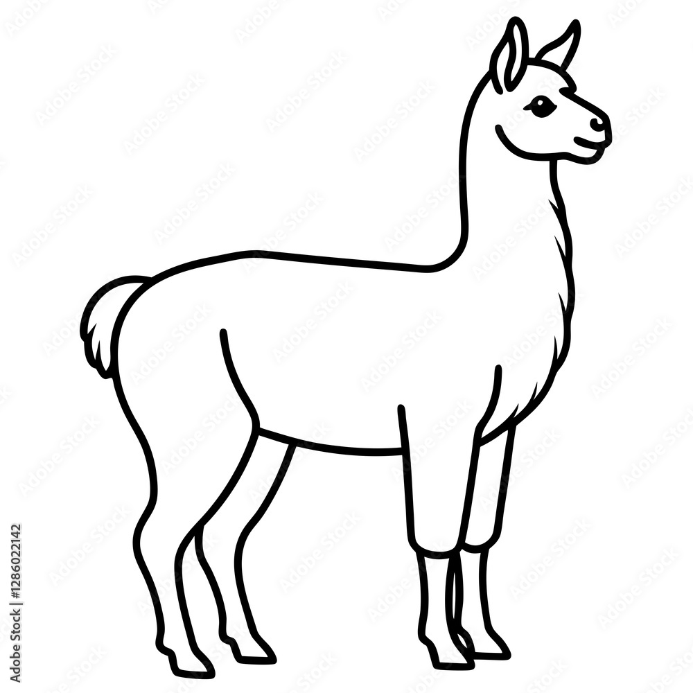 Clean & Simple Llama Line Art Vector Clean & Simple Llama Line Art Vector