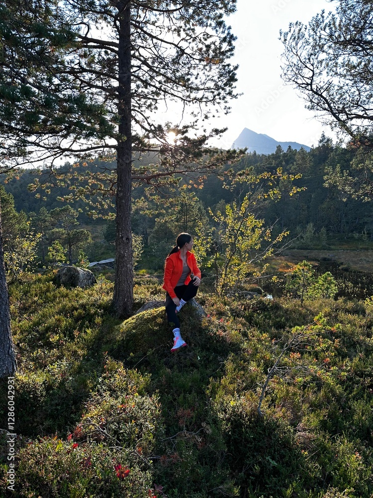 Naklejka premium hiker in the mountains