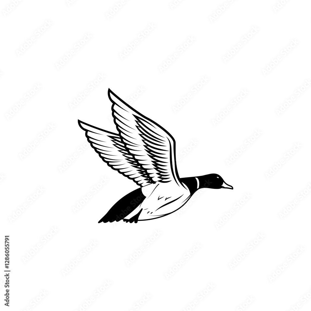 Fototapeta premium illustration of wild duck, mallard. Duck hunting, ducking