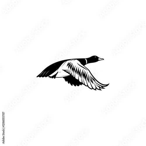 illustration of wild duck, mallard. Duck hunting, ducking