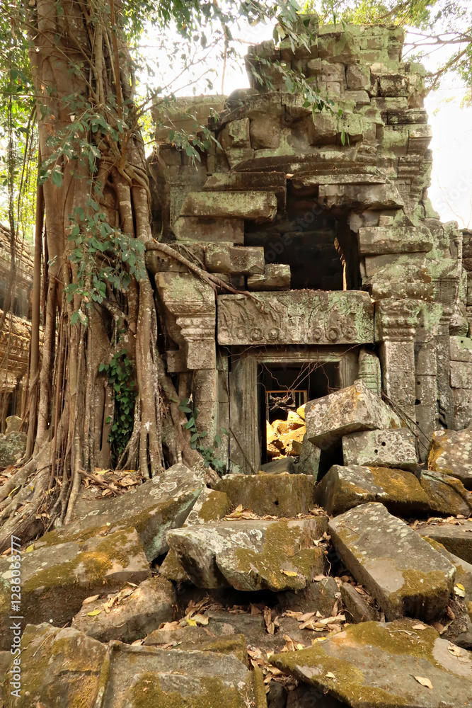 Inside the Ta Prohm Temple, a big tree is growing on top of big stones, bricks that block a door, doorway, Angkor Wat, Siem Reap, Cambodia Inside the Ta Prohm Temple, a big tree is growing on top of big stones, bricks that block a door, doorway, Angkor Wat, Siem Reap, Cambodia
