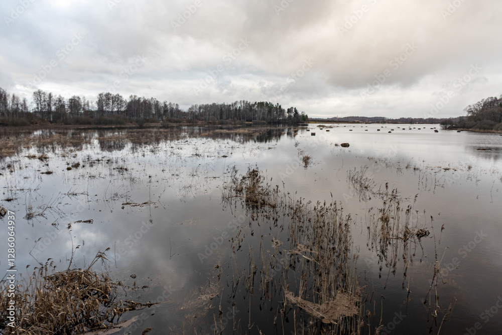 latvian winter landscape with flooded lake, thin and light ice in places, reflections