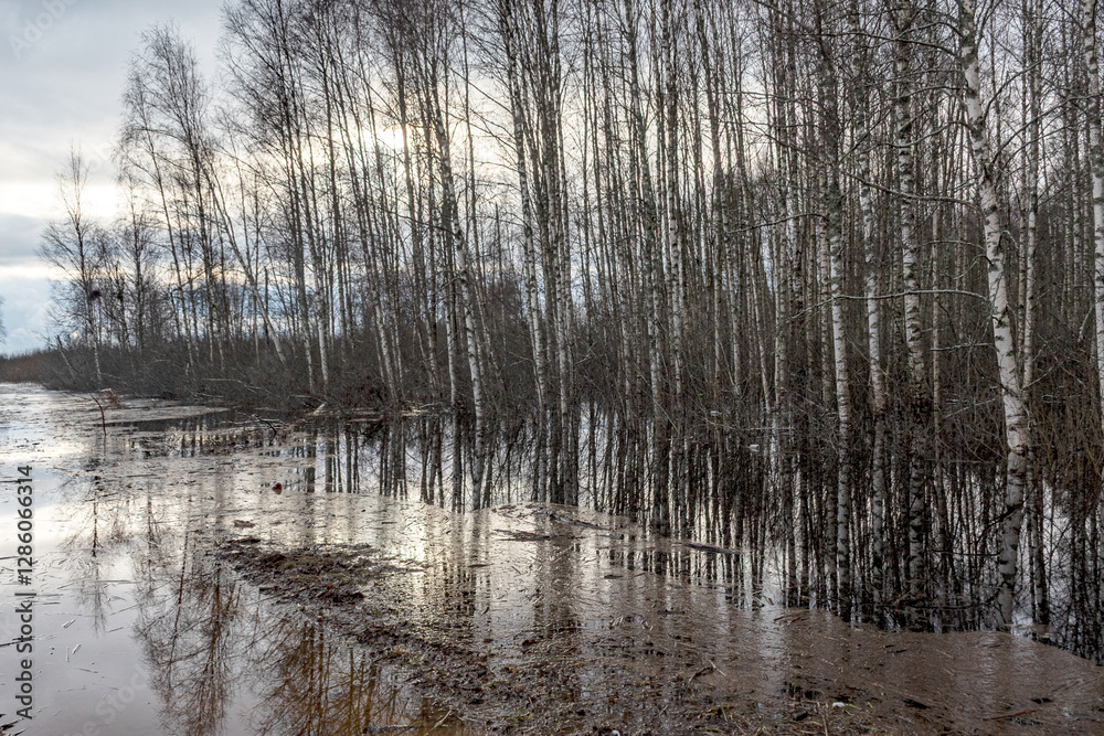 latvian winter landscape with flooded lake, thin and light ice in places, reflections