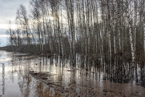 Obraz na płótnie latvian winter landscape with flooded lake, thin and light ice in places, reflections w salonie