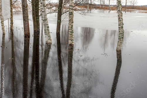 Obraz na płótnie latvian winter landscape with flooded lake, thin and light ice in places, reflections w salonie
