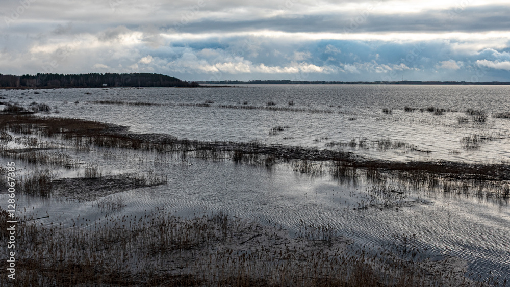 latvian winter landscape with flooded lake, thin and light ice in places, reflections