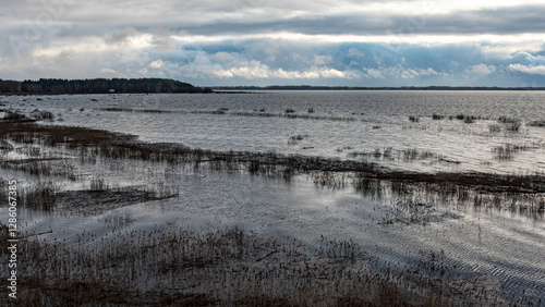 Obraz na płótnie latvian winter landscape with flooded lake, thin and light ice in places, reflections w salonie