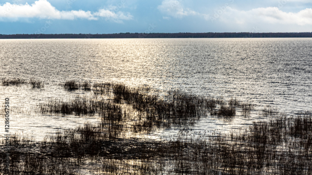 latvian winter landscape with flooded lake, thin and light ice in places, reflections