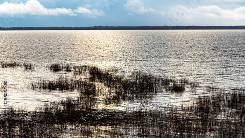 Obraz na płótnie latvian winter landscape with flooded lake, thin and light ice in places, reflections w salonie