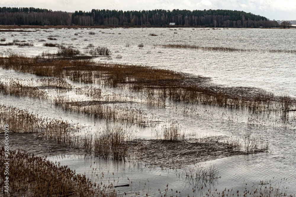 latvian winter landscape with meadow, approaching snowfall, Silzemnieku meadows, Burtnieku lake