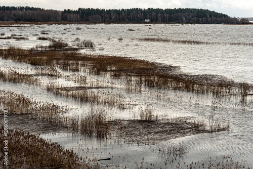 Obraz na płótnie latvian winter landscape with meadow, approaching snowfall, Silzemnieku meadows, Burtnieku lake w salonie