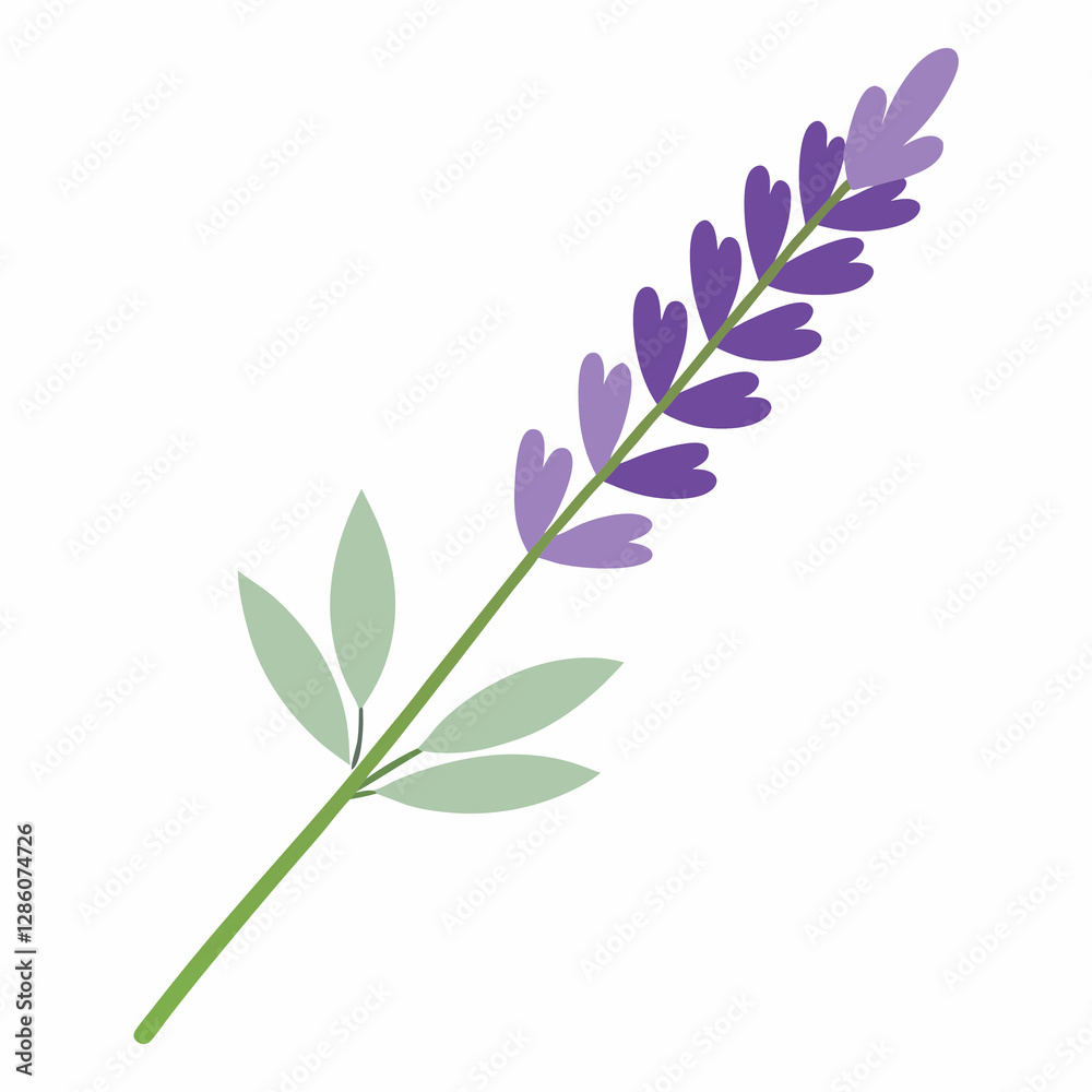 Obraz premium soft lavender sprig