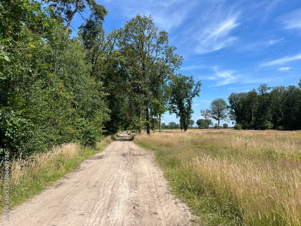 MTB track around Ootmarsum in Overijssel