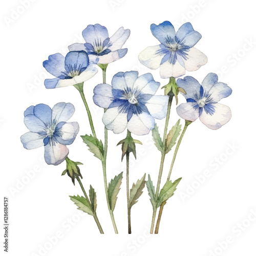 watercolor Nemophila isolated white background