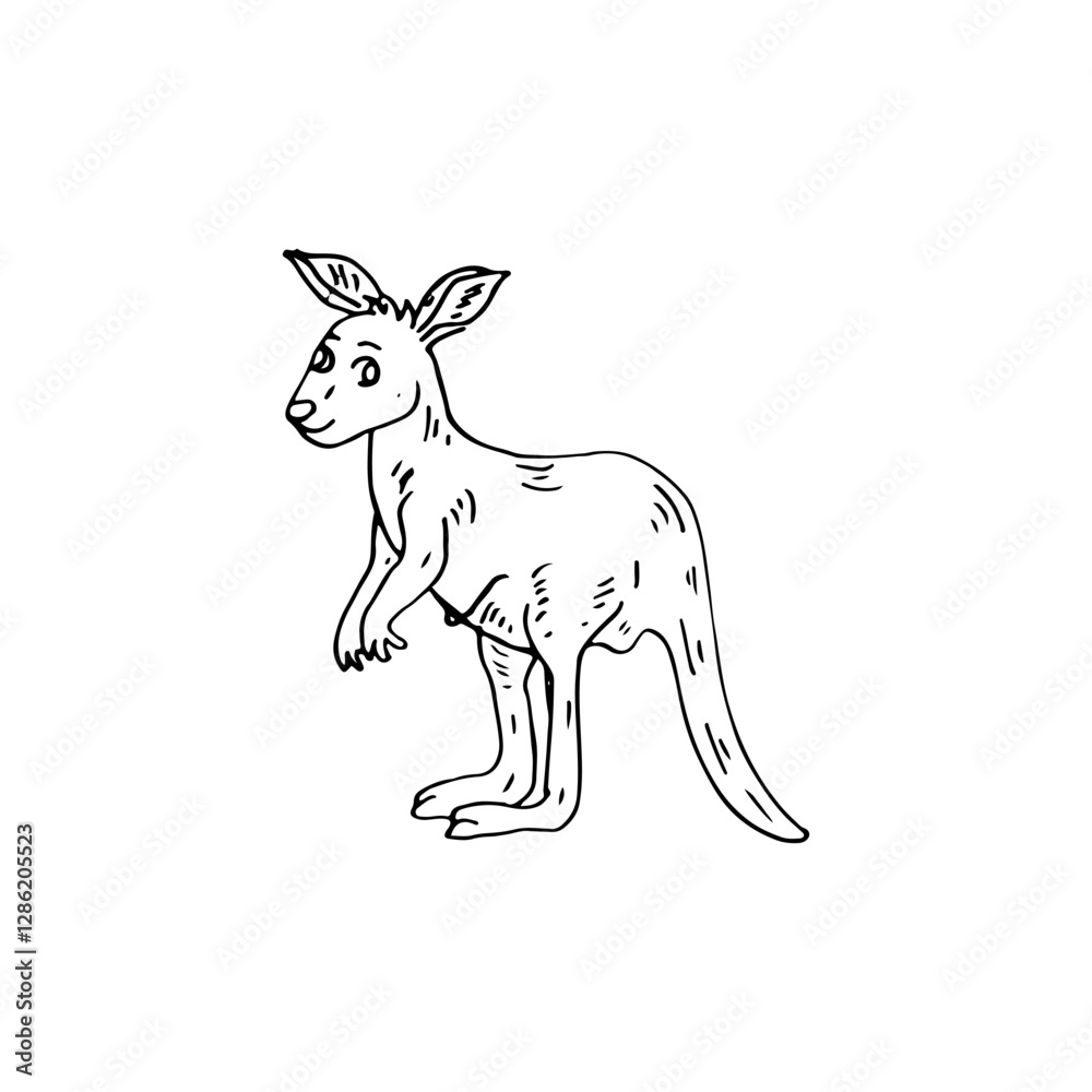 Obraz premium Kangaroo doodle cartoon black line art cute animal vector illustration.