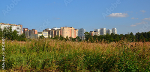 Photography Outskirts of the city - wild grass against the backdrop of houses
