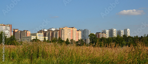 Photography Outskirts of the city - wild grass against the backdrop of houses