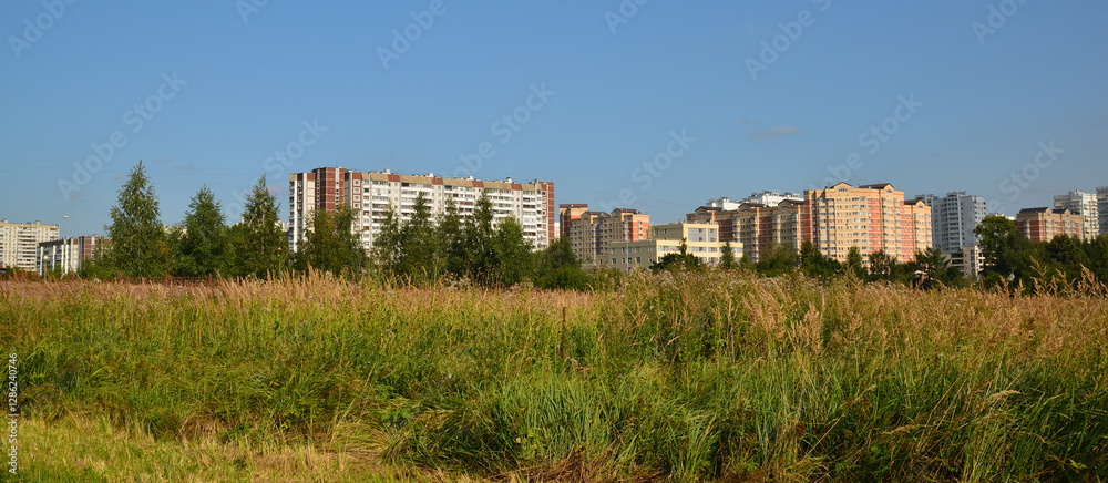 Outskirts of the city - wild grass against the backdrop of houses. Zelenograd, Russia Outskirts of the city - wild grass against the backdrop of houses. Zelenograd, Russia